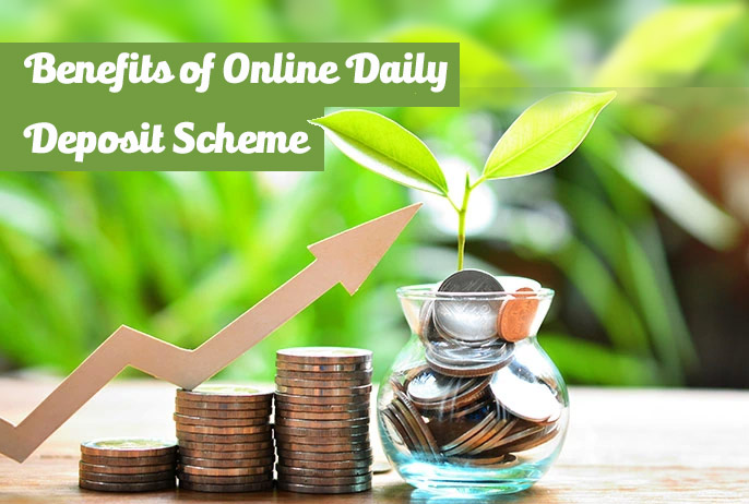 Daily Deposit Scheme Online